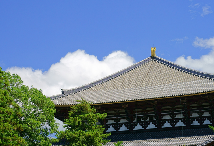 お寺さん紹介センター 三宝会 本物のお寺紹介 僧侶紹介